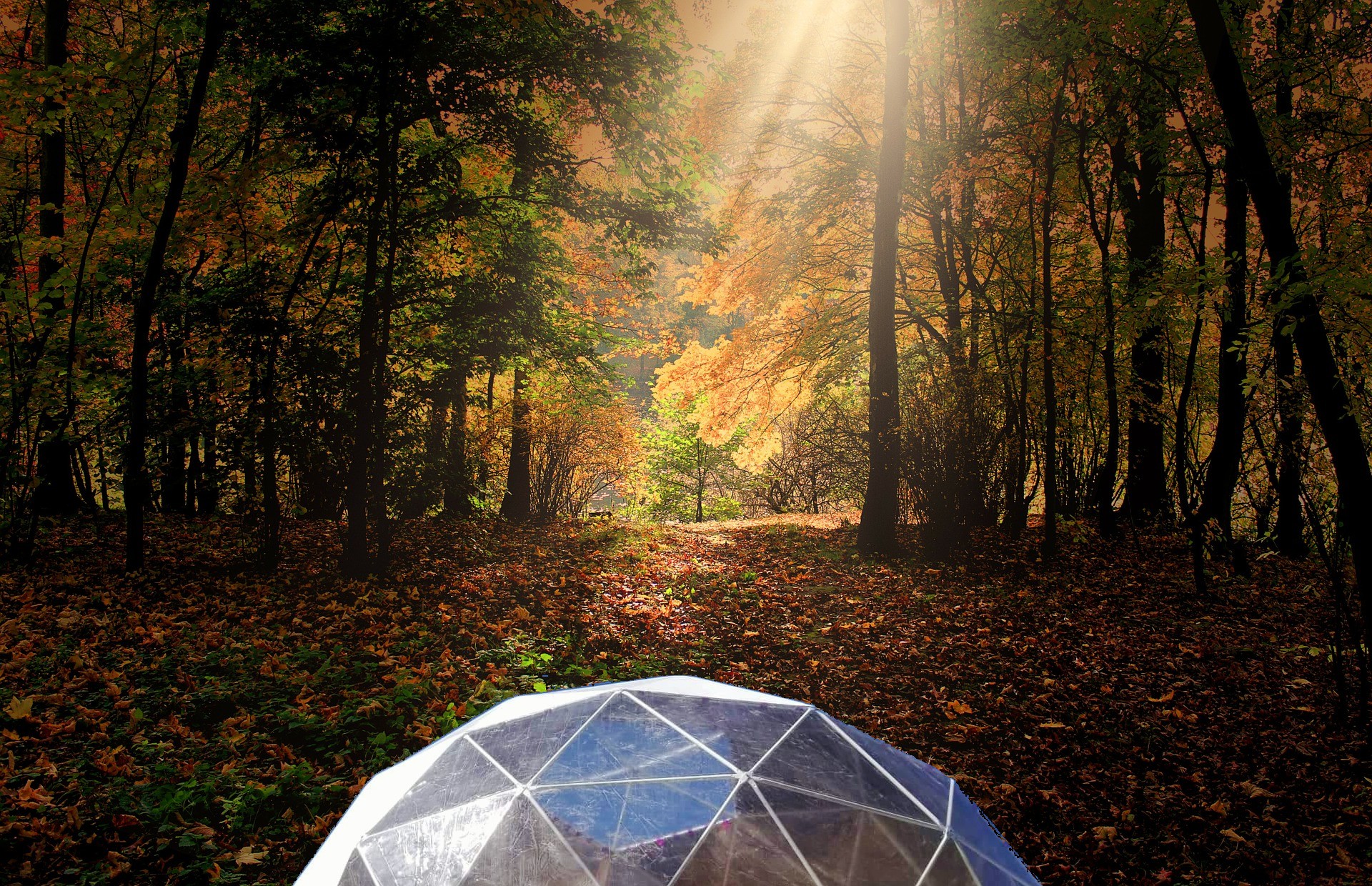 Cove Dome Glamping Moncton New Brunswick