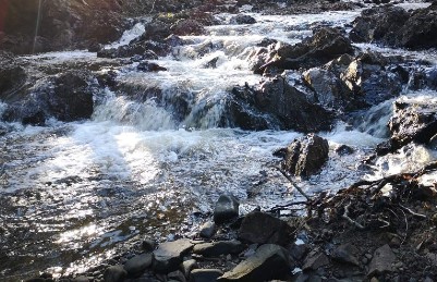 Cove Dome Glamping Moncton New Brunswick